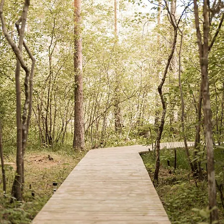 A Cozy Treehouse For Two *